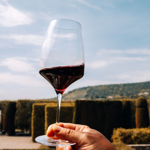 Experience Bordeaux - Image 2